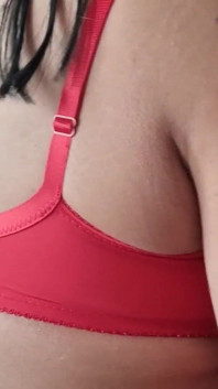 D Cup Red Lace Big Bra