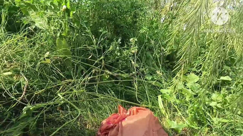 Savita5343: Fucked My Stepsister-in-law in Doggy Style in a Mustard Field...
