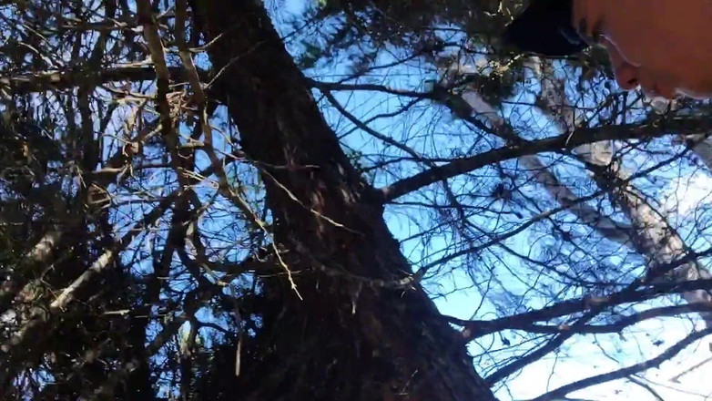 Icyhot707: Latinoameričanka si to dělá v parku.