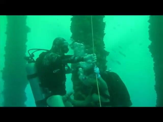 Homegrown Ebony: Mickaela and lars do underwater hardcore