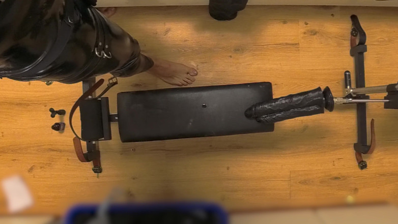 Chastitybeltboy: लेटेक्स शुद्धता पिंजरा बहिन पर सेक्स मशीन पिलरी और डबल डिल्डो