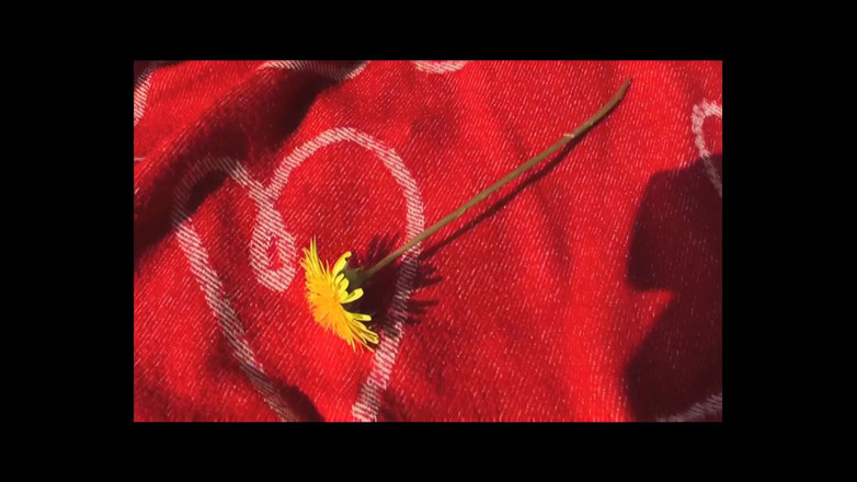 Out Sexxx: Outdoor Sexual Adventure XXX - (Folge #01)