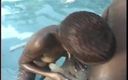 CBD Media: Lesbian foursome in the swimming pool