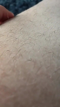 Hairy Legs Tease All Your Senses
