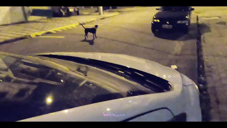 Gabbie Luna: Śniadanie na ulicy! 18-letnia suka obciąganie mnie za darmo na środku ulicy!...