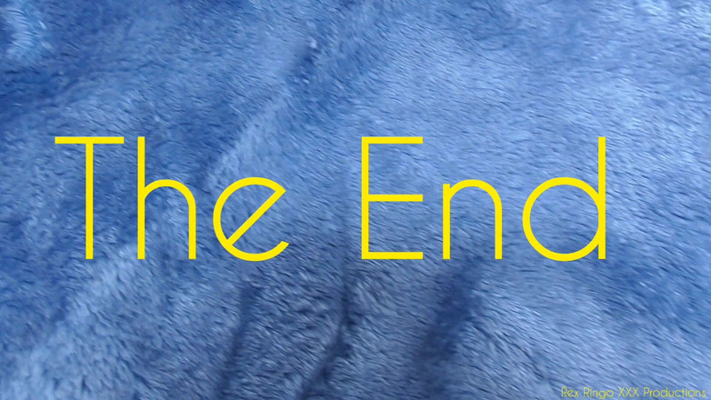 Rex Ringo XXX Productions: Plážová párty Freaks 2