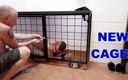 Master Drex: New cage