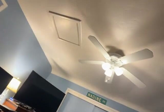 Sweet Marie: Stream rozpoczął się 12.01.2023 