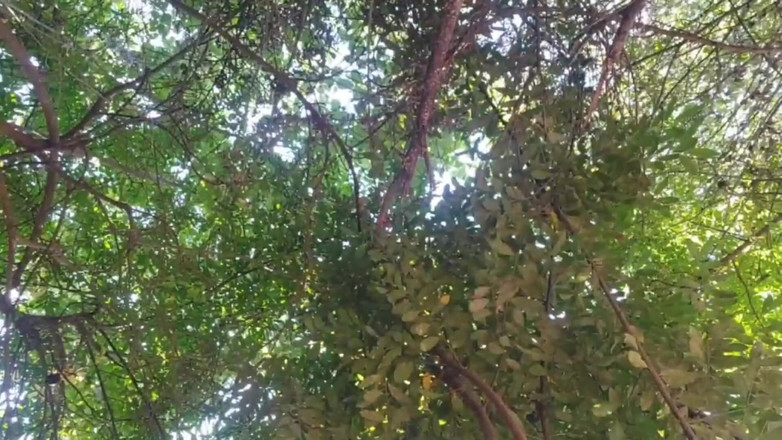 Kitty_Cross: Mein top ist so eng wie dein griff