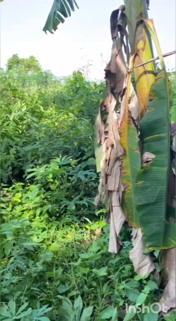 Chief_daddyy: Der femboy trifft sich mit seinem schlägerischen freund