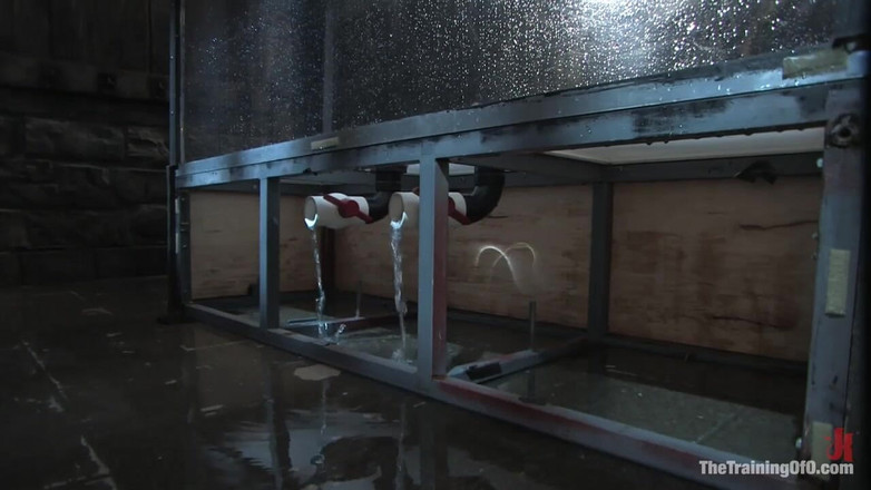 The Training of O by Kink: Das Training von Bobbi Starr, vierter Tag