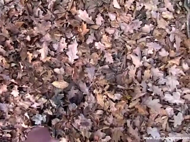 Young Libertines: Autumn fuck on leaf carpet