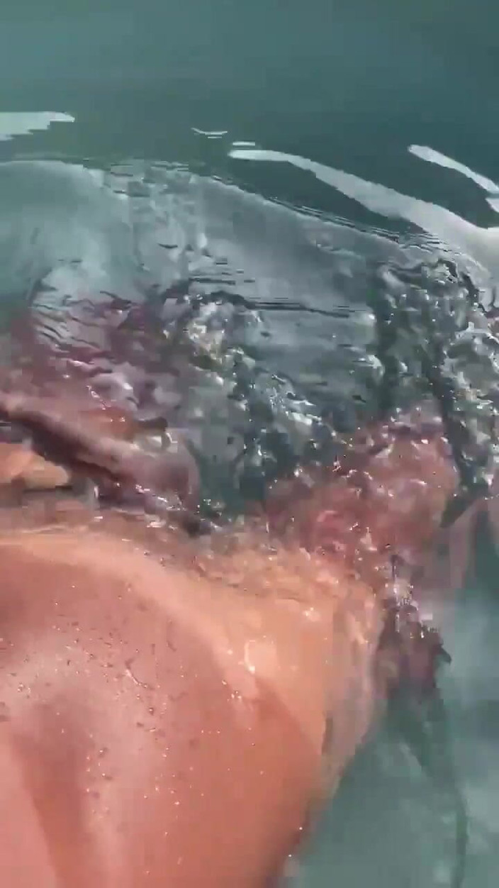 Vida Noite: Mendengar Audio Yang Melancap Di Kolam Dan Melancap