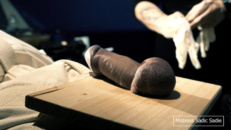 Sadic Sadie: Poprvé přibíjím koule a jehlu skrz žalud.