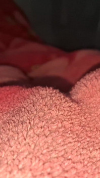 Dick Sucker
