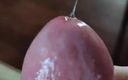 Cock vids and only cock vids.: Pre-corrida de polla gorda