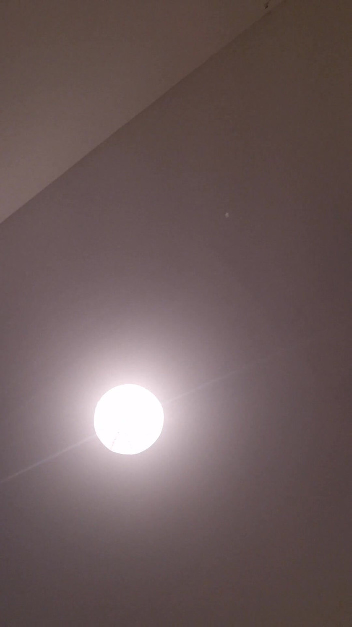 Spagnols anal: Menyelidiki Petualangan Baru.