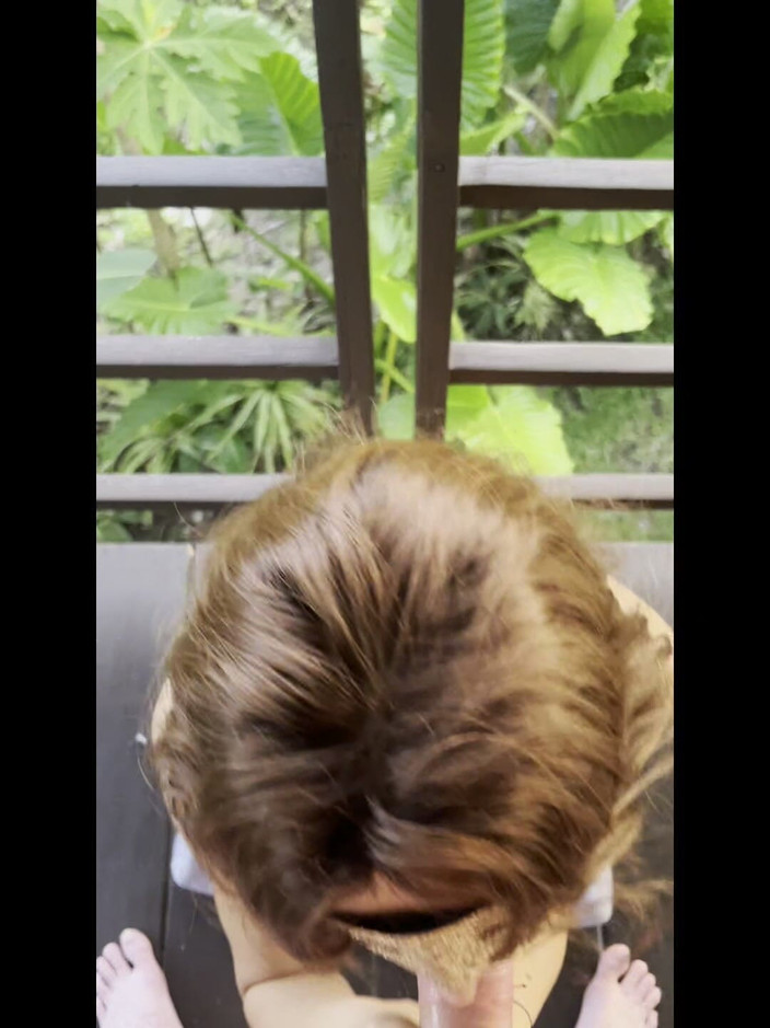 coconutcouple2439: 阳台上的早晨：）