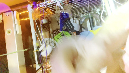 ThePigMaster: Kinkkire střílí pěknou nálož