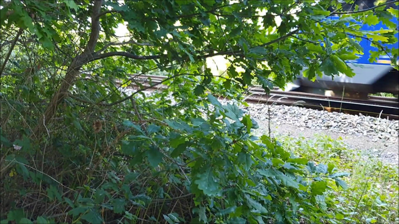 UserBitch1: Fuck on the Train Tracks