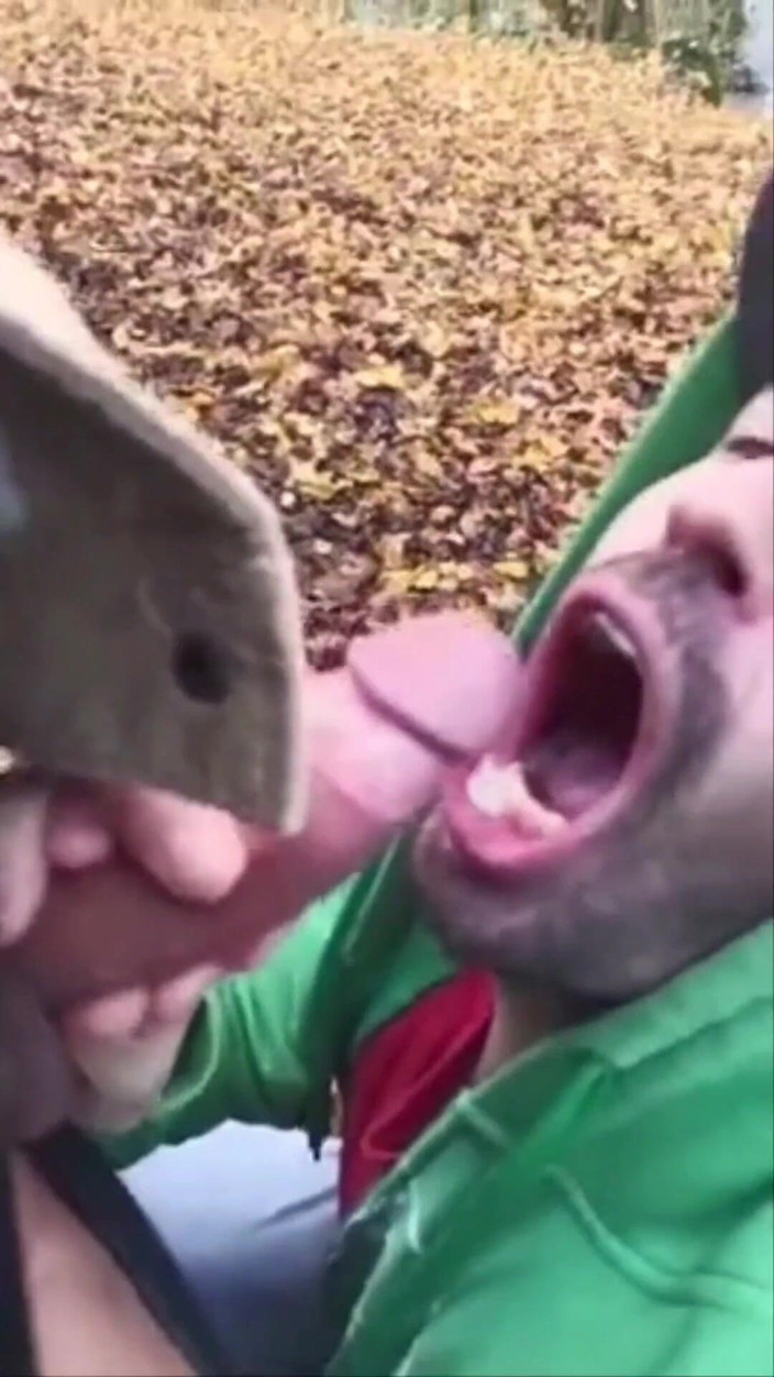 Justin hoodwar: Cumshot Compilation