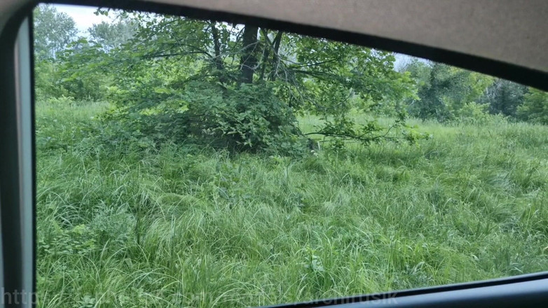 ArchiRusik: Náhodný kamionista šuká v autě s tátou do mrdky!