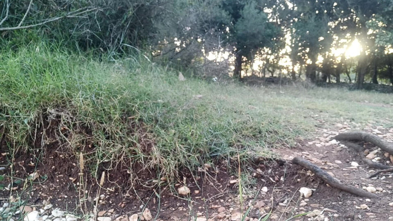 Kinky Guy: Ranní glory na pláži