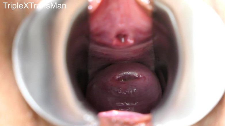TripleXTransMan: Проникаючи в мою шийку матки!