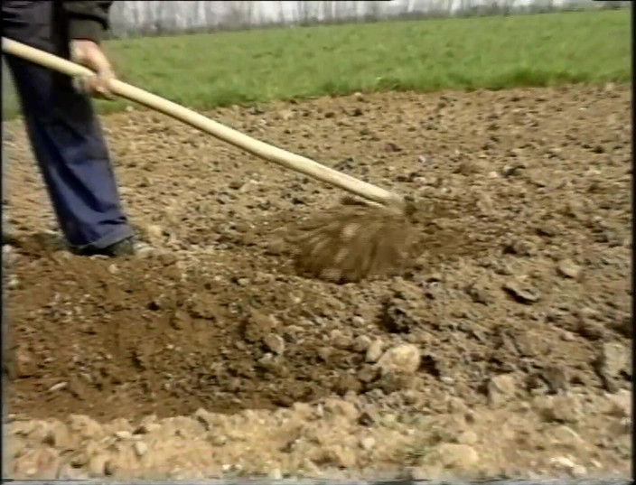 Vintage megastore: riesige retro-MILf-möpse