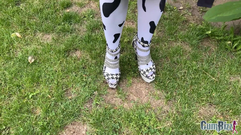 Cumbizz: Deixe a vaca leiteira mugir