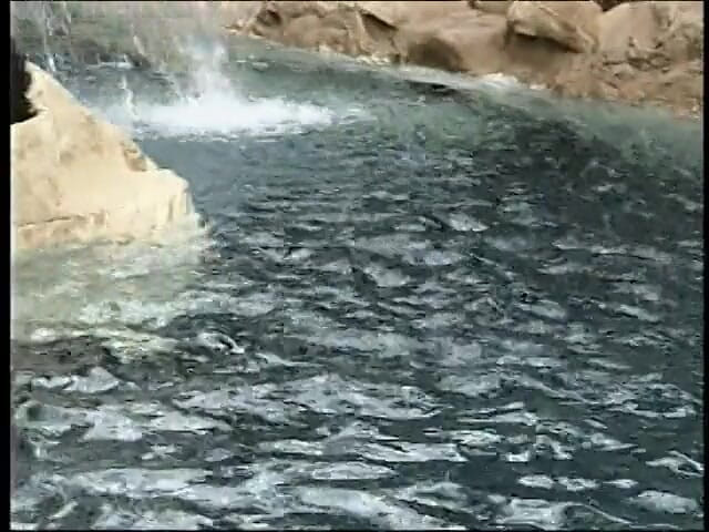 Best Butts: Blak guy comes up from pool to fuck ebony chick...
