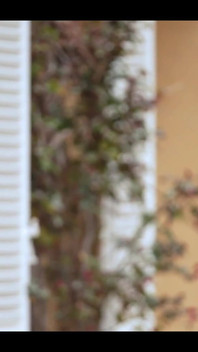 Swame House, French Porno Reality