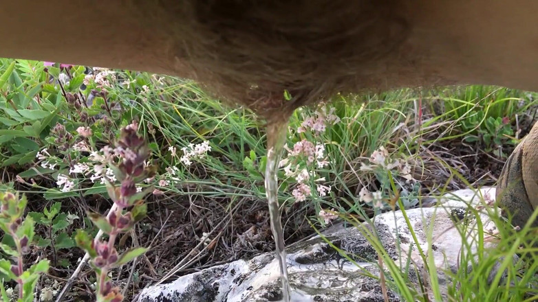 Risky Hairy Couple: 털이 무성한 오줌 야외