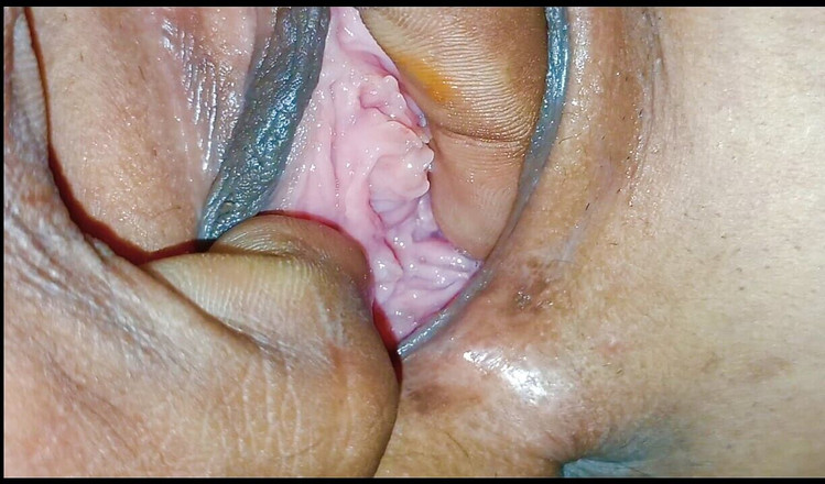 IndianSoni: Desi stiefmutter fickt rosa muschi