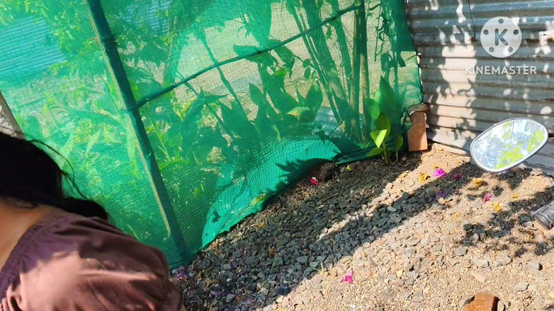 Premi pooja: Sex desi de la sat