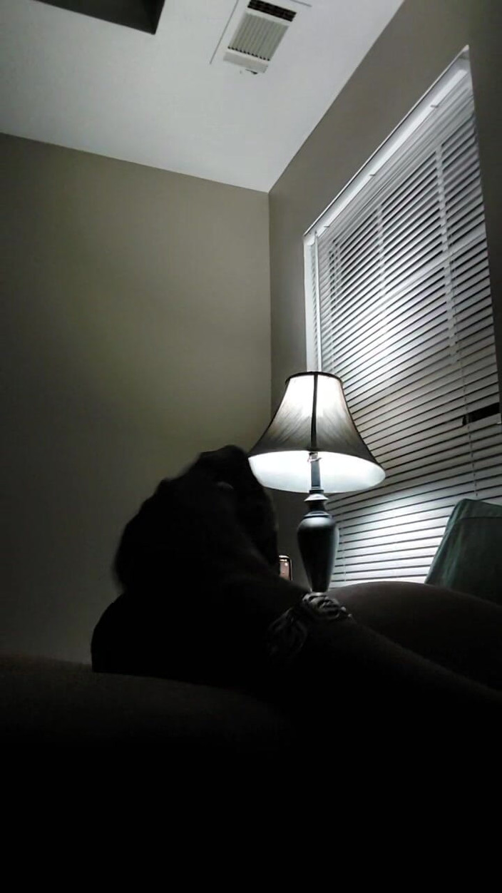 Sinzon The Attention Whore: Nut Farm por Shinzon