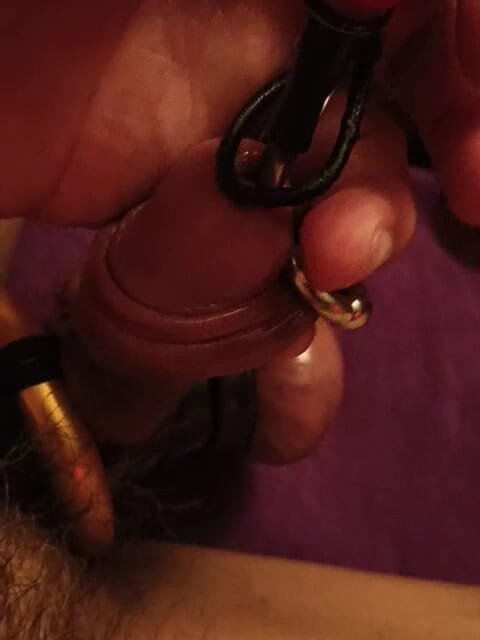 LionSM: Mein schwanz.