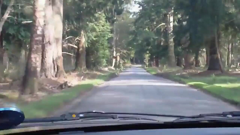 Movies by Louise: Going down in the woods