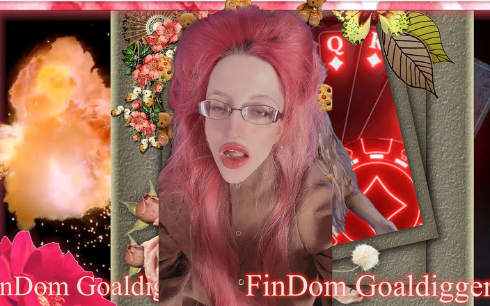 FinDom Goaldigger: pyapigであることの喜び