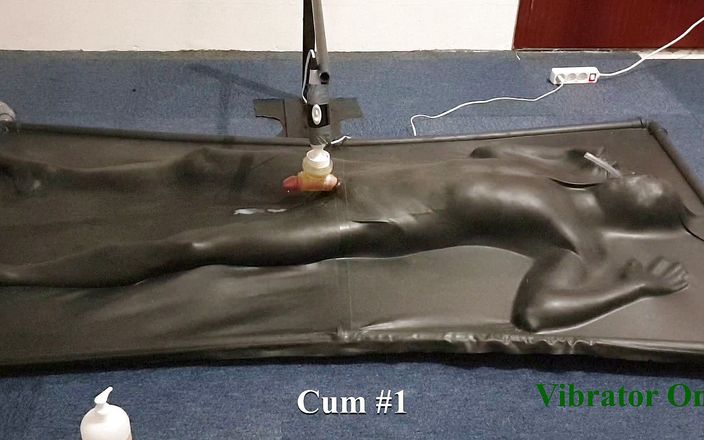 NL Milking: Milked by controlled vibrator in vacbed