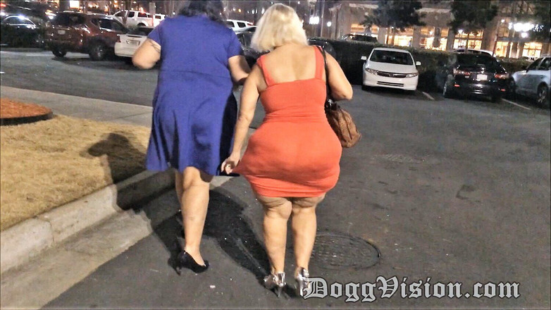 DoggVision: 56岁老熟女公路旅行