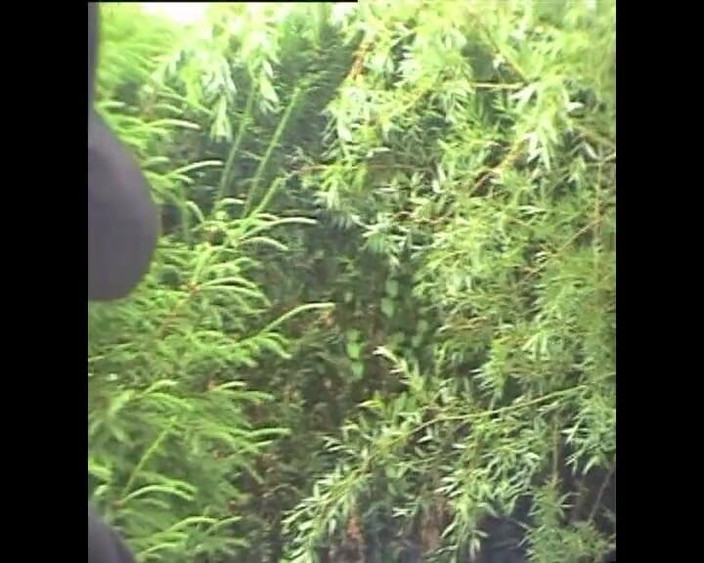 BDSM and co: Tvrdá BDSM Nadvláda Pro Dva Submisivy