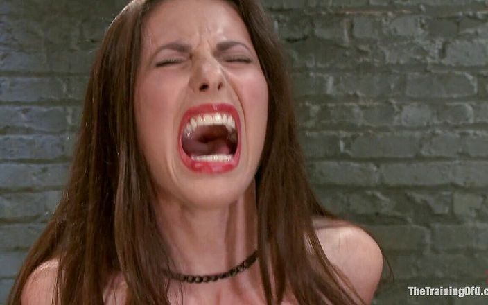 The Training of O by Kink: O treinamento de Casey Calvert - Dia 3