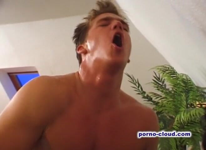 Porno Cloud: Potěšení velkých kočiček - DVD