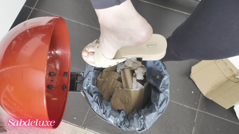 Sabdeluxe: Scholl Smash Karton