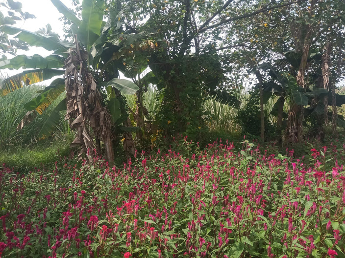 Priyanka314: 阿姨在年轻人中展示大胸部音频