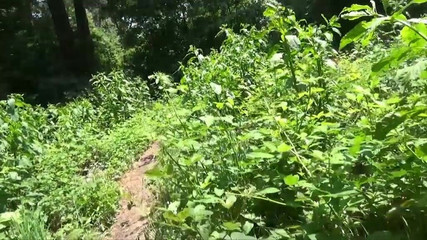 King Of Amateur: Nadržené zralé italské děvky - šukej mě a než mě umyjte