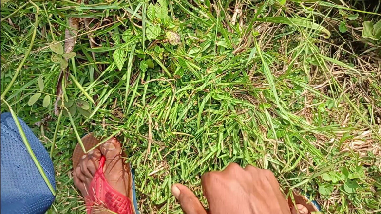 LinearOrnament35: Відеоблог, секс трясеться, робить пеніс довшим