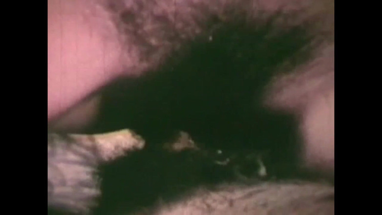 The Unforgettable: O comedor de pau peludo