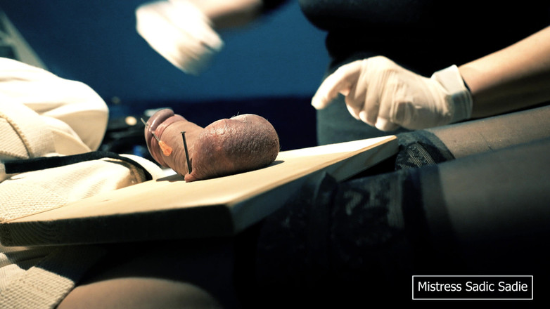 Sadic Sadie: ドングリにボールと針を打ち込むのは初めてです。